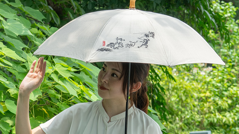 高い防水性と撥水性を備えた傘生地